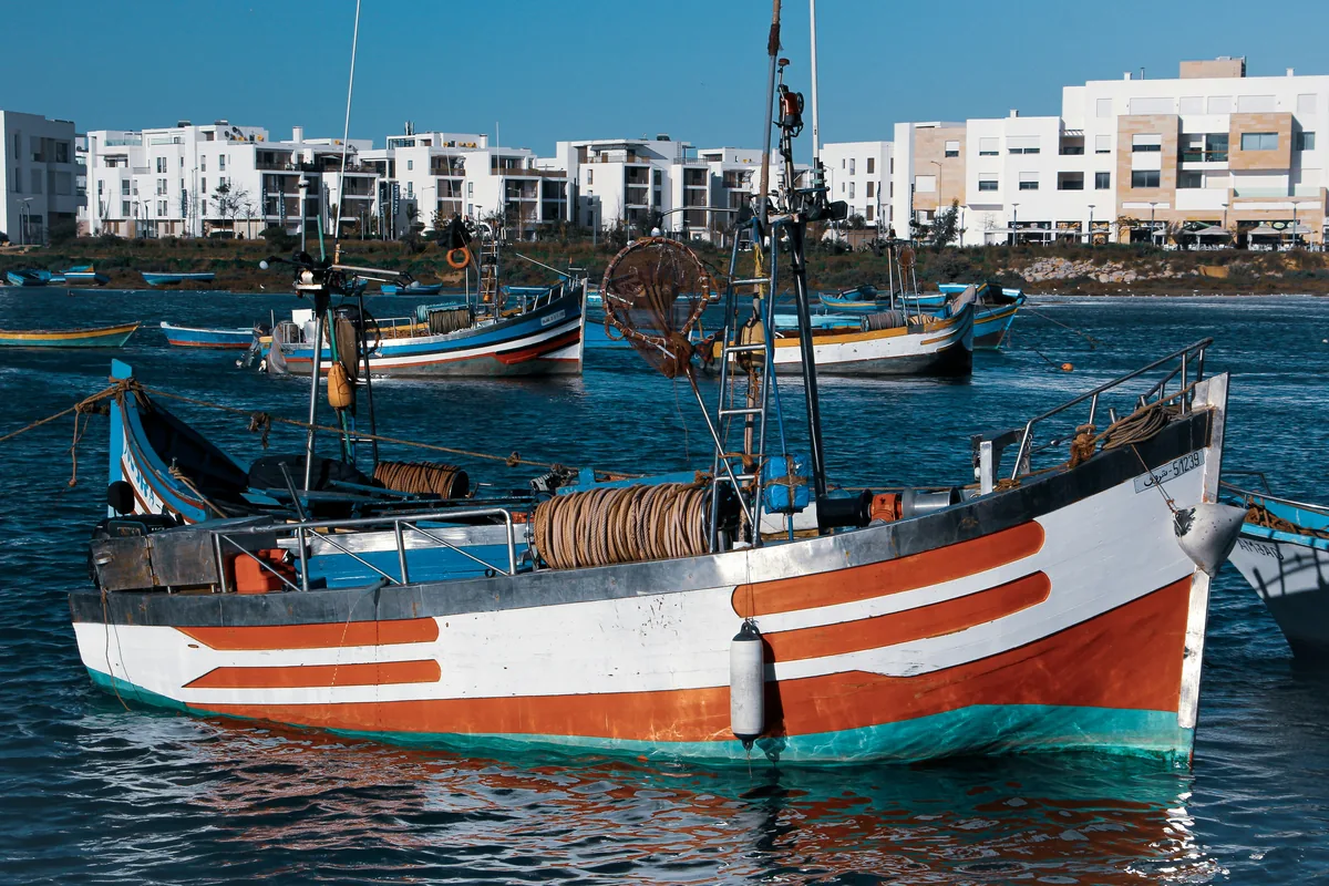 Marrakech → Essaouira — foto 3