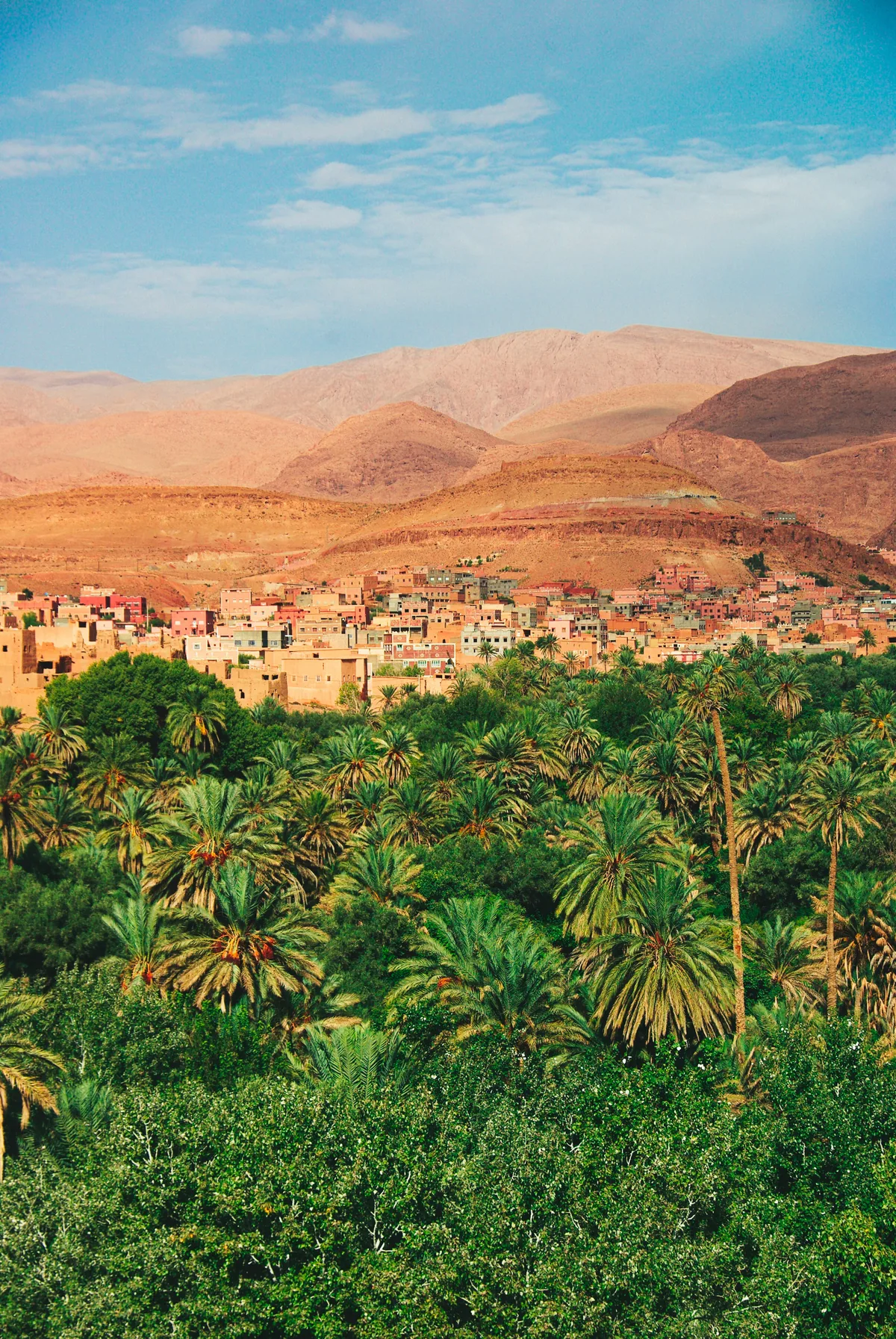 Tetouan → Volubilis → Meknes — foto 1